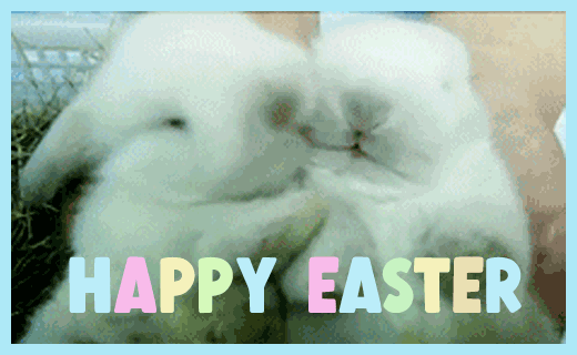 Easter Bunnies animated gif