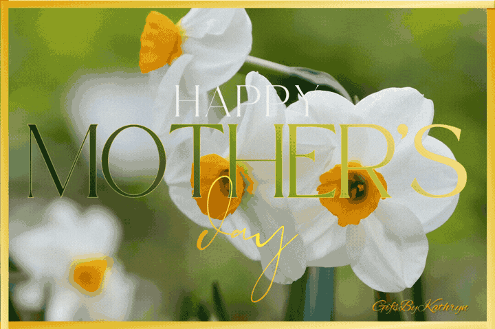 Happy Mothers Day Daffodils gif