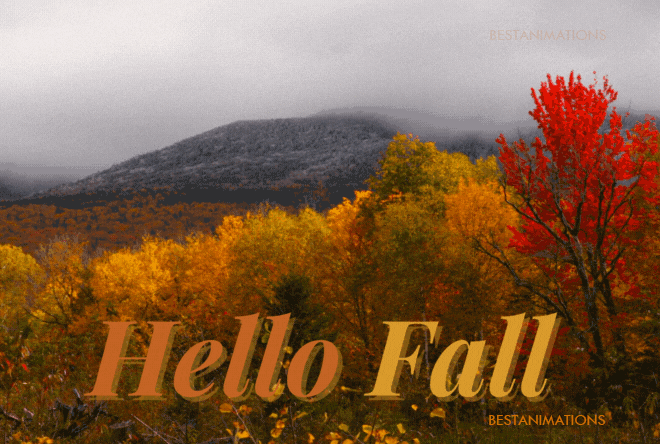 Hello Fall Animated Gif