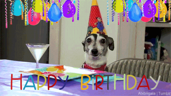 Happy Birthday Dog animated gif