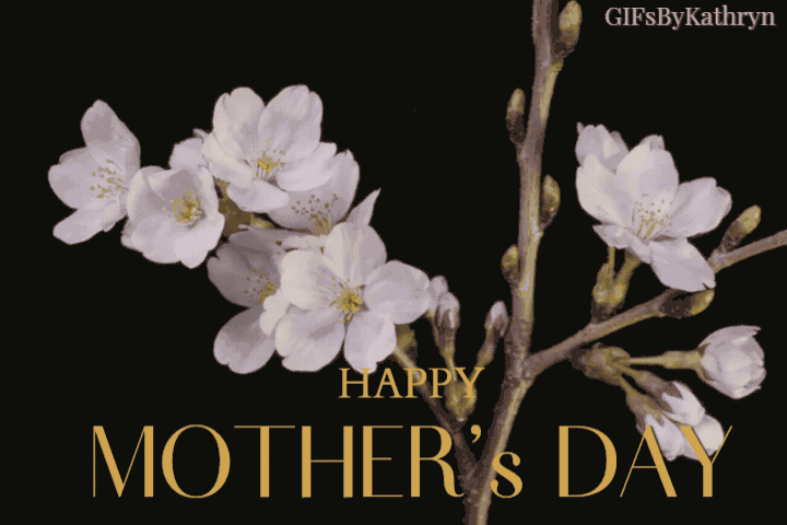 Happy Mother's Day Blooming Flowers gif